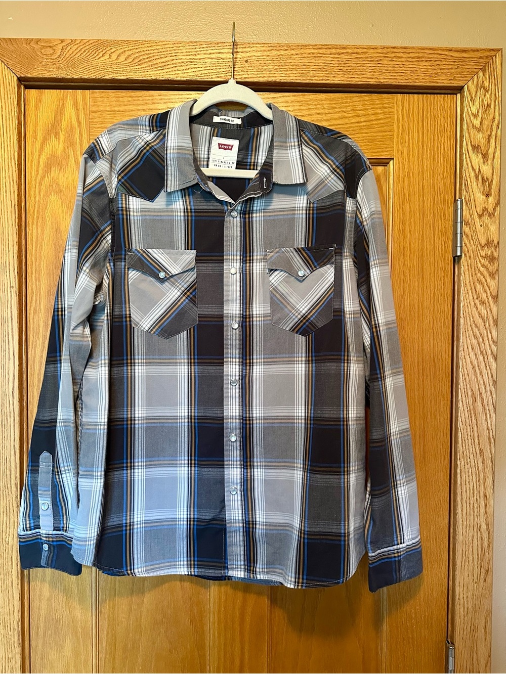 Levi's Men's Black, Gray & Blue Plaid Button-Down Shirt